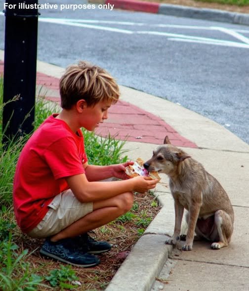 Read more about the article My 10-Year-Old Son Fed a Stray Dog Behind an Old Store Every Day — One Day, a Red SUV Stopped Beside Him, and What Happened Next Still Brings Me to Tears