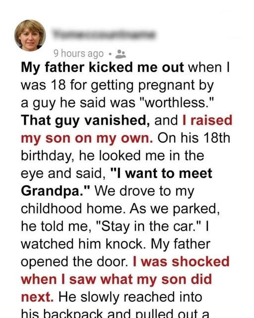 Read more about the article My Dad Kicked Me Out When He Found Out I Was Pregnant — 18 Years Later, My Son Paid Him a Visit