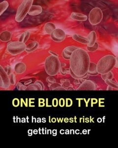 Read more about the article Doctors Reveal the One Blood Type Which Has the Lowest Risk of Cancer