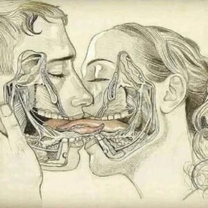 Read more about the article THE TONGUE 👅 AND WHAT HAPPENS WHEN WE KISS TONGUE… See More👇👇