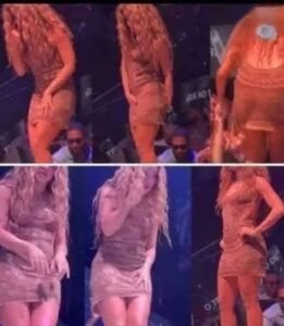 Read more about the article Shakira Abruptly Halts Miami Performance After Unacceptable Fan Misconduct Leaves Crowd Stunned