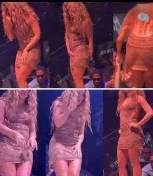 Read more about the article Shakira Abruptly Halts Miami Performance After Unacceptable Fan Misconduct Leaves Crowd Stunned
