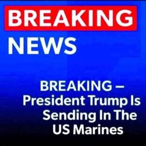 Read more about the article US Marines Land At Florida Detention Centers In Historic Deployment That Has The Entire Nation Bracing For What Comes Next