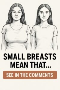 Read more about the article If a woman has small breasts, it means that her internal part…