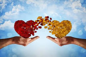 Read more about the article The Hidden Messages Behind Your Partner’s Kisses