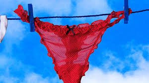 Read more about the article Why There Is a Small Bow on Women’s Underwear: The Real Reason Most People Don’t Know