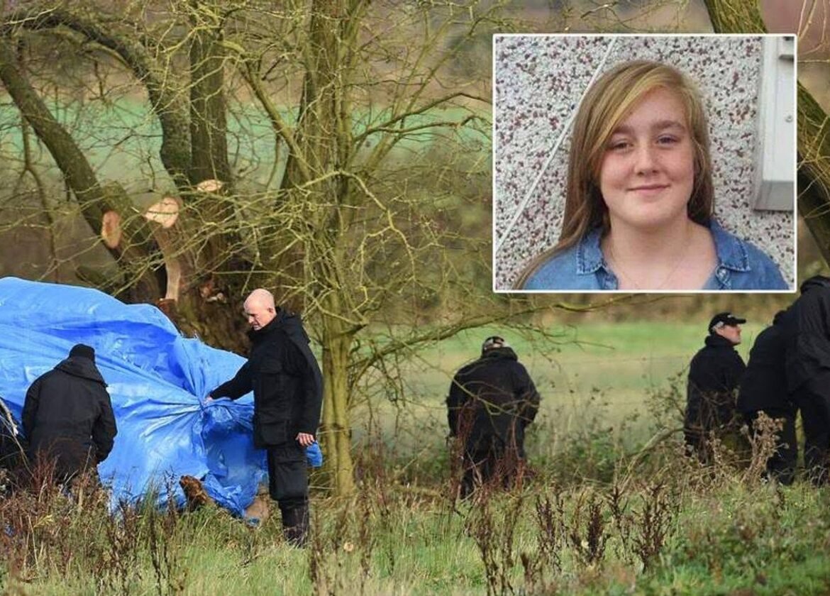 Read more about the article Missing girl found in the woods, her mother was the one who…See more