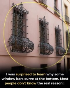 Read more about the article Why are some window bars curved at the bottom