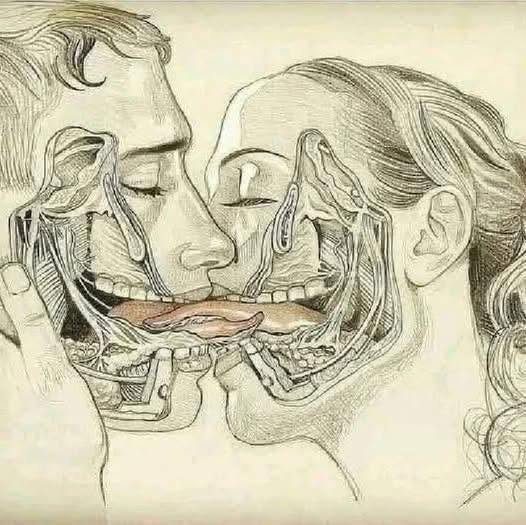 Read more about the article WHAT HAPPENS WHEN WE TONGUE KISS…See more